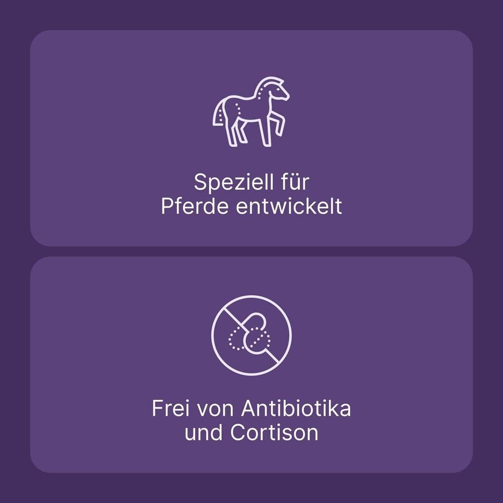 Zwei Textblöcke. Oben: Speziell für Pferde entwickelt. Unten: Frei von Antibiotika und Cortison.