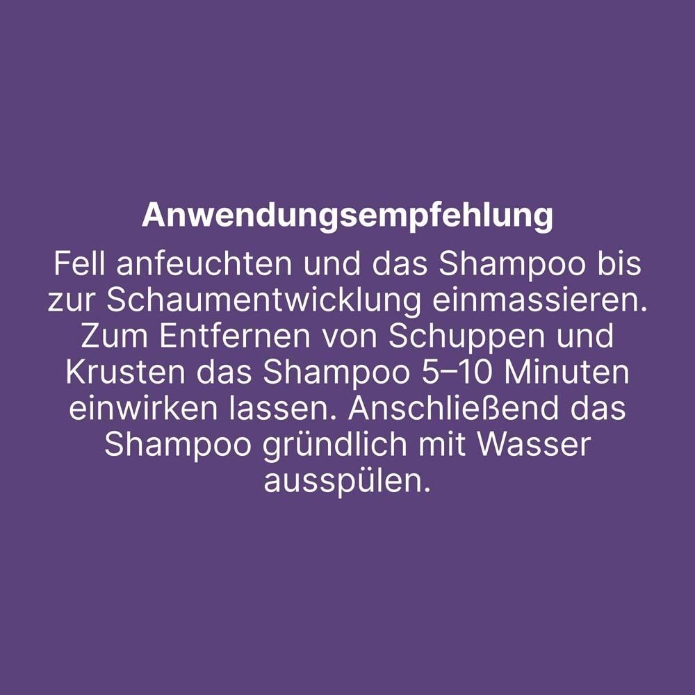 Text: Anwendungsempfehlung. Fell anfeuchten und das Shampoo bis zur Schaumentwicklung einmassieren.