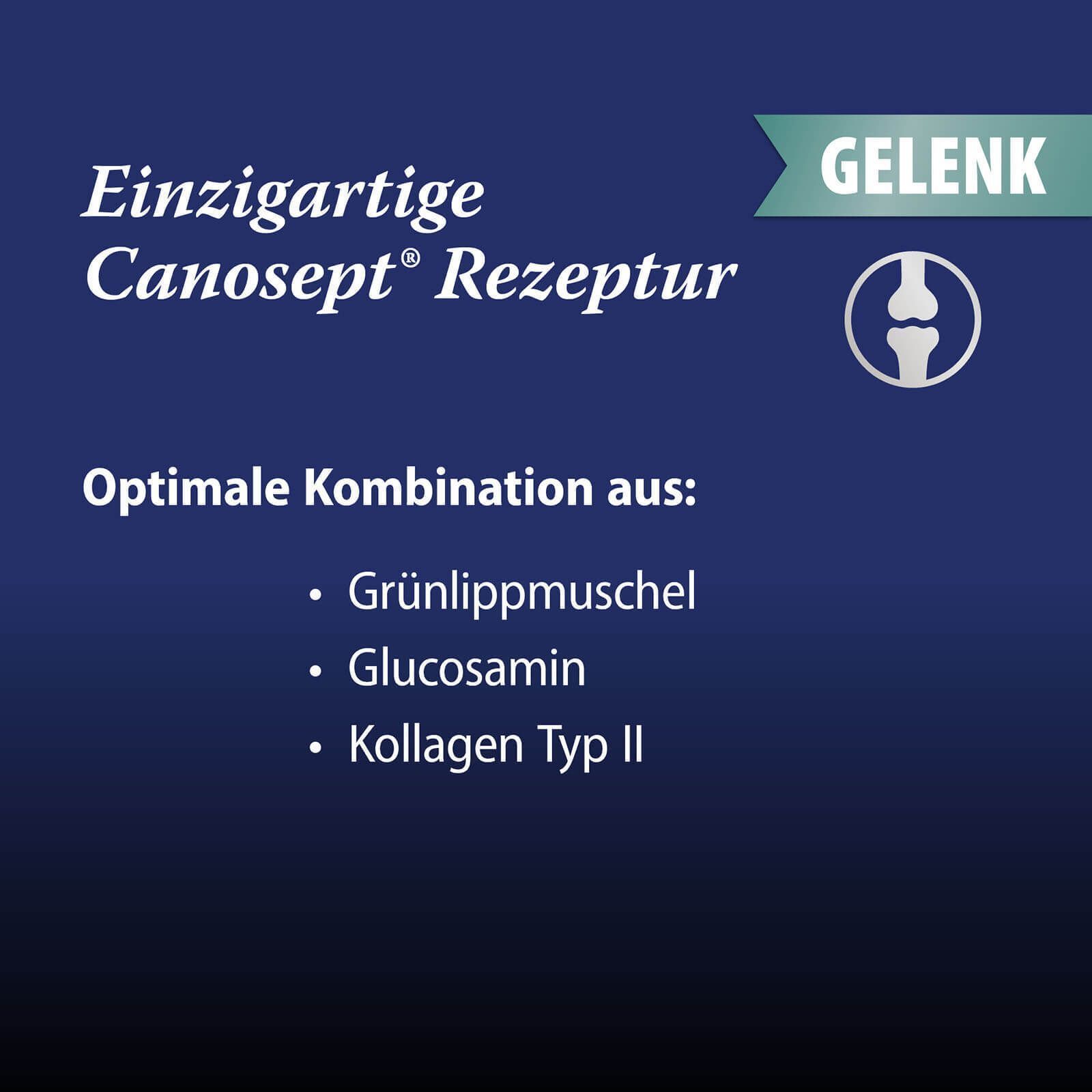Blauer Hintergrund mit Text. Text: Einzigartige Canosept Rezeptur. Optimale Kombination aus: Grünlippmuschel, Glucosamin, Kollagen Typ II.