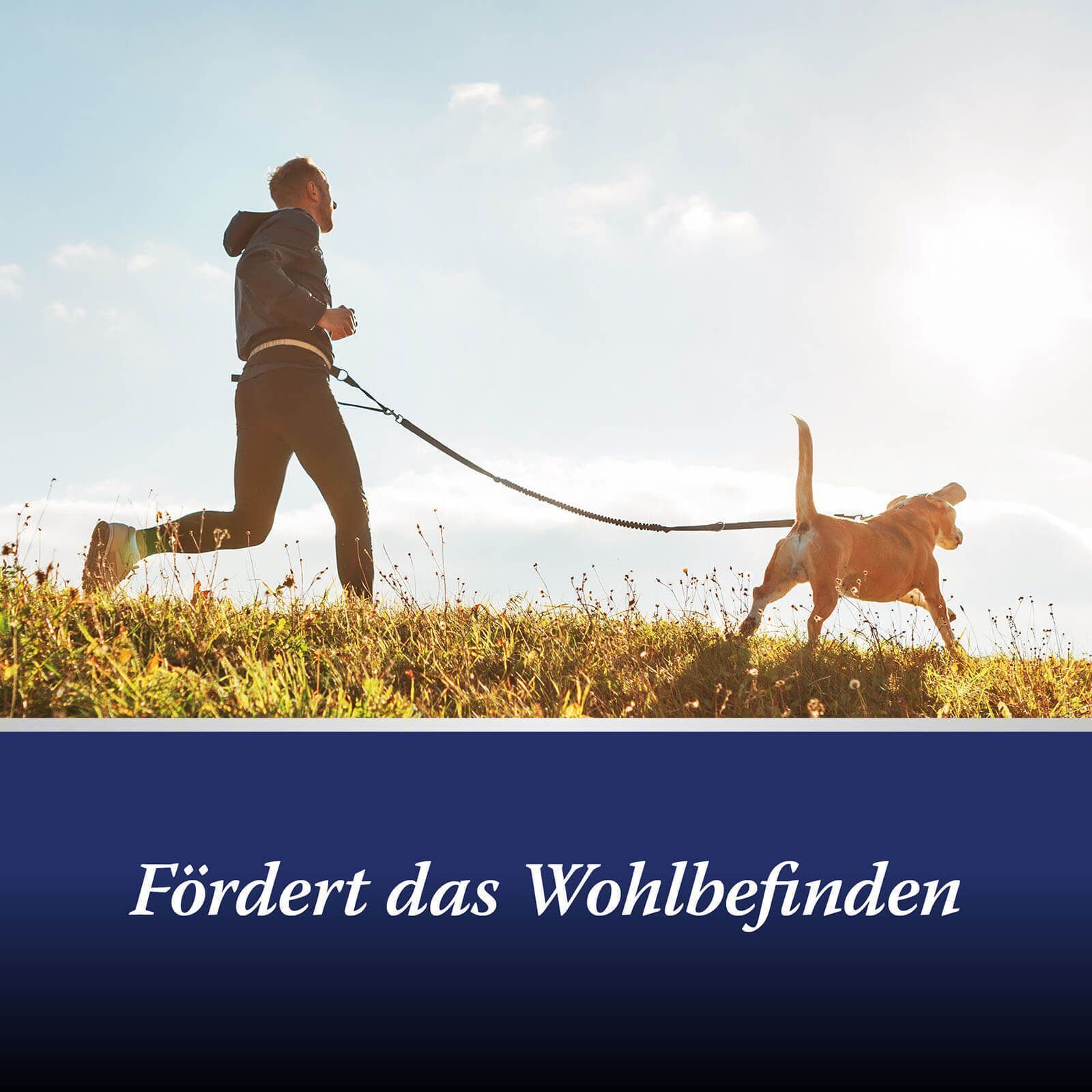 Mann und Hund beim Joggen. Text: Fördert das Wohlbefinden. Blauer Hintergrund.