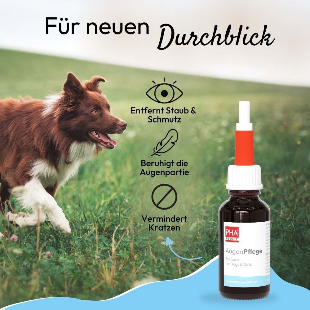Braune Flasche mit roter Spitze. Text: AugenPflege, EyeCare for Dogs & Cats. Hund rennt durch Gras. Icons.