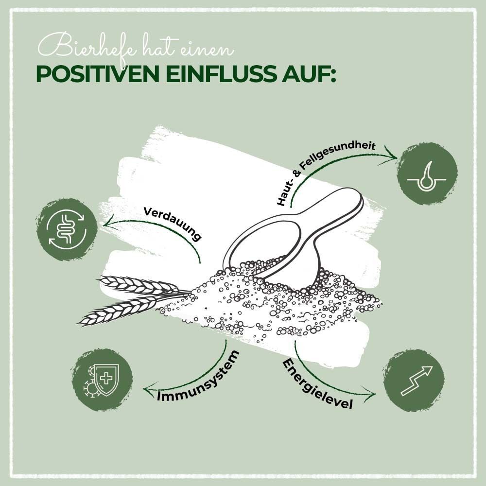 Illustration: Verdauung, Haut, Immunsystem, Energielevel. Text: Bierhefe hat positiven Einfluss auf...