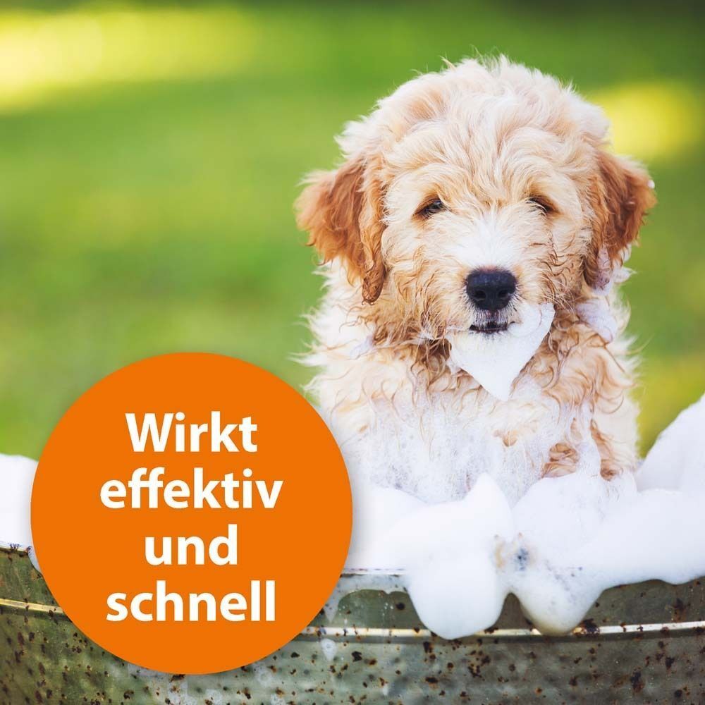 Ein Hund im Bad mit Schaum. Oranger Kreis mit Text: Wirkt effektiv und schnell.