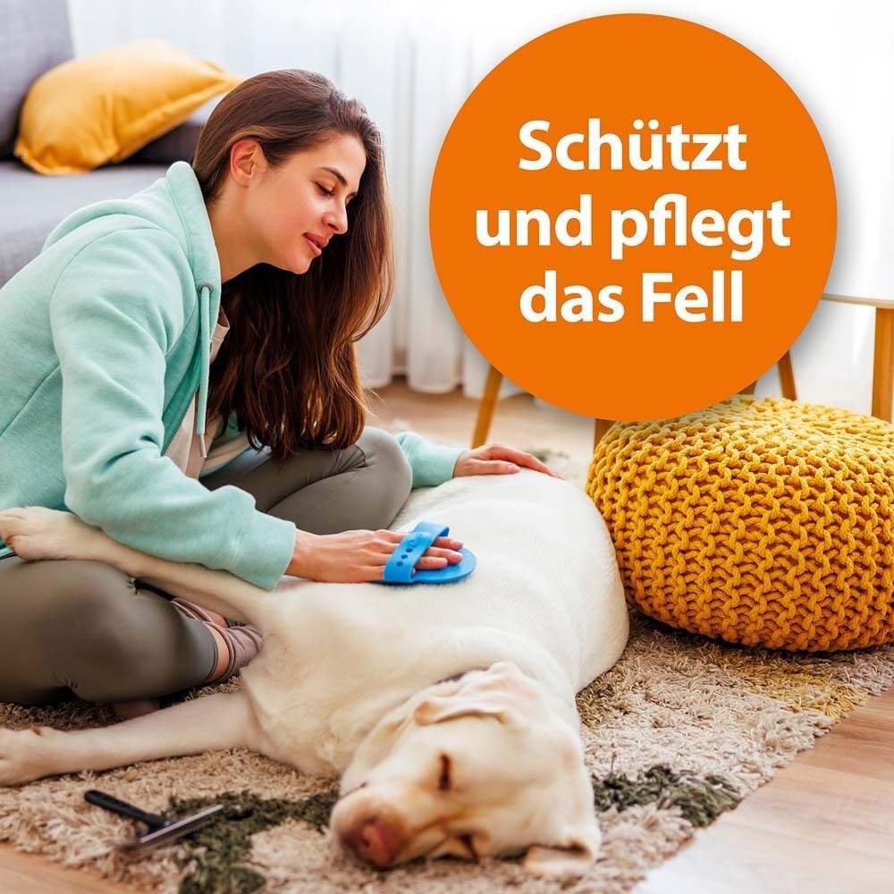 Eine Frau bürstet einen Hund auf einem Teppich. Oranger Kreis mit Text: Schützt und pflegt das Fell.