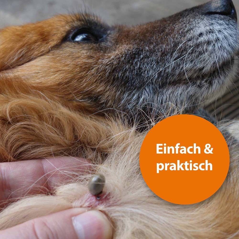 Nahaufnahme eines Hundes mit einer Zecke. Ein Zeckenhaken wird gezeigt. Text: Einfach & praktisch.