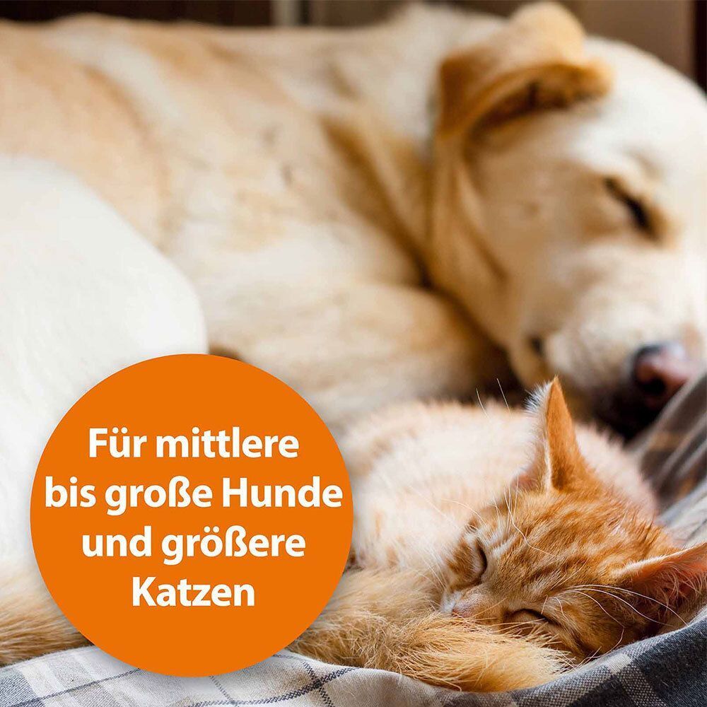 Schlafender Hund und Katze. Text: Für mittlere bis große Hunde und größere Katzen.