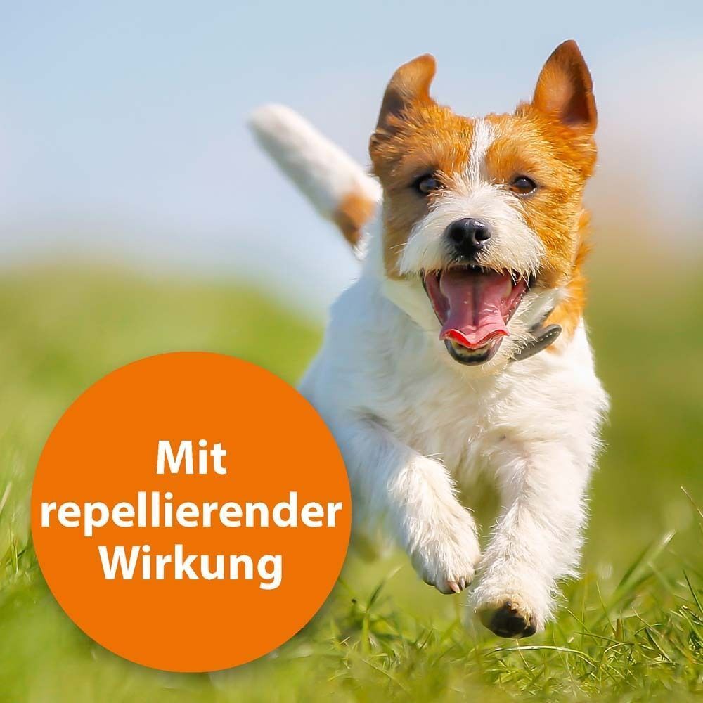 Ein Hund rennt auf einer Wiese. Orangefarbener Kreis mit Text: Mit repellierender Wirkung.
