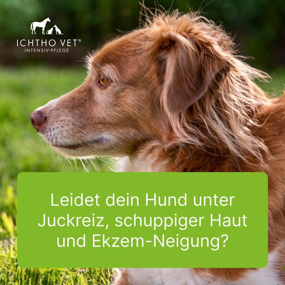 Ein Hund mit braunem Fell im Profil. Text: Leidet dein Hund unter Juckreiz, schuppiger Haut und Ekzem-Neigung?