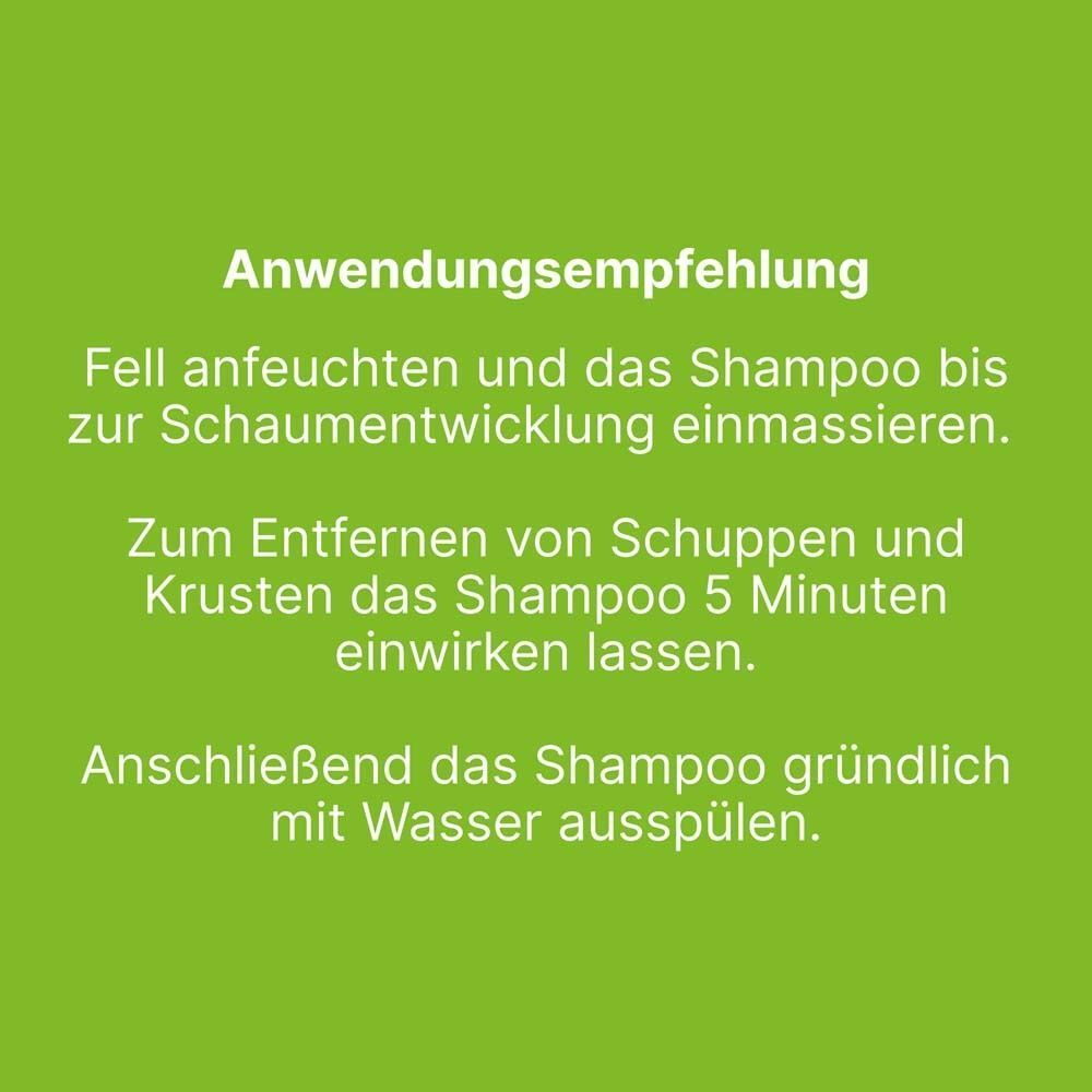 Text: Anwendungsempfehlung. Fell anfeuchten und Shampoo bis zur Schaumentwicklung einmassieren. Zum Entfernen von Schuppen 5 Minuten einwirken lassen.