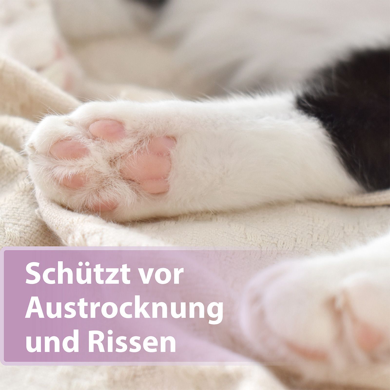 Katzenpfote mit rosa Ballen. Text: Schützt vor Austrocknung und Rissen.