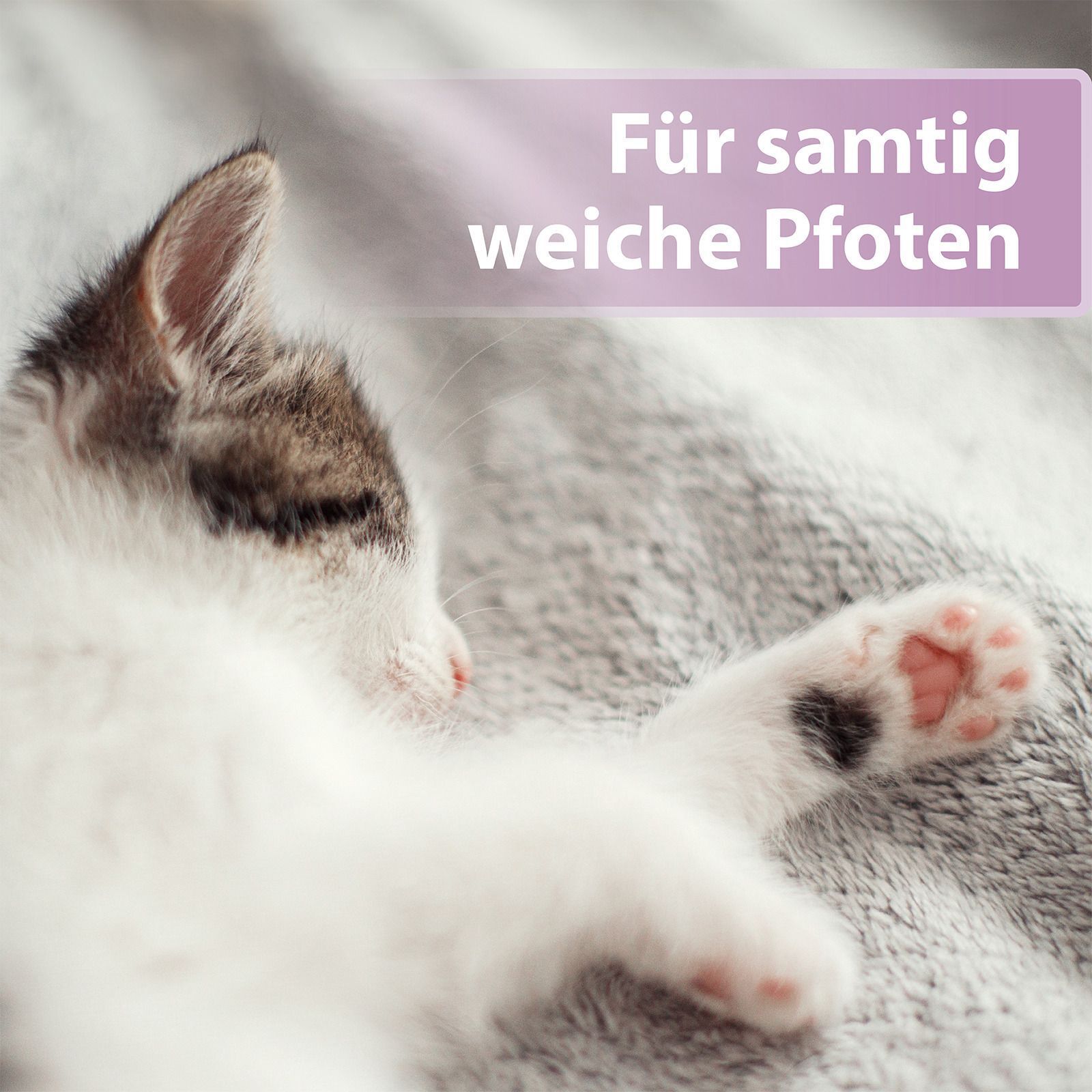 Katze liegt auf Decke. Text: Für samtig weiche Pfoten.