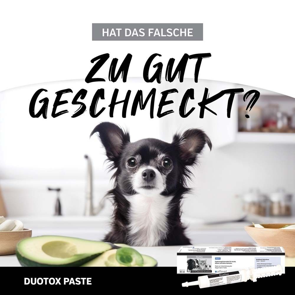 Kleiner Hund vor Küche. Text: DuoTox Paste. Auf Verpackung: Hund, Katze, Text. Avocado und Produktverpackung.