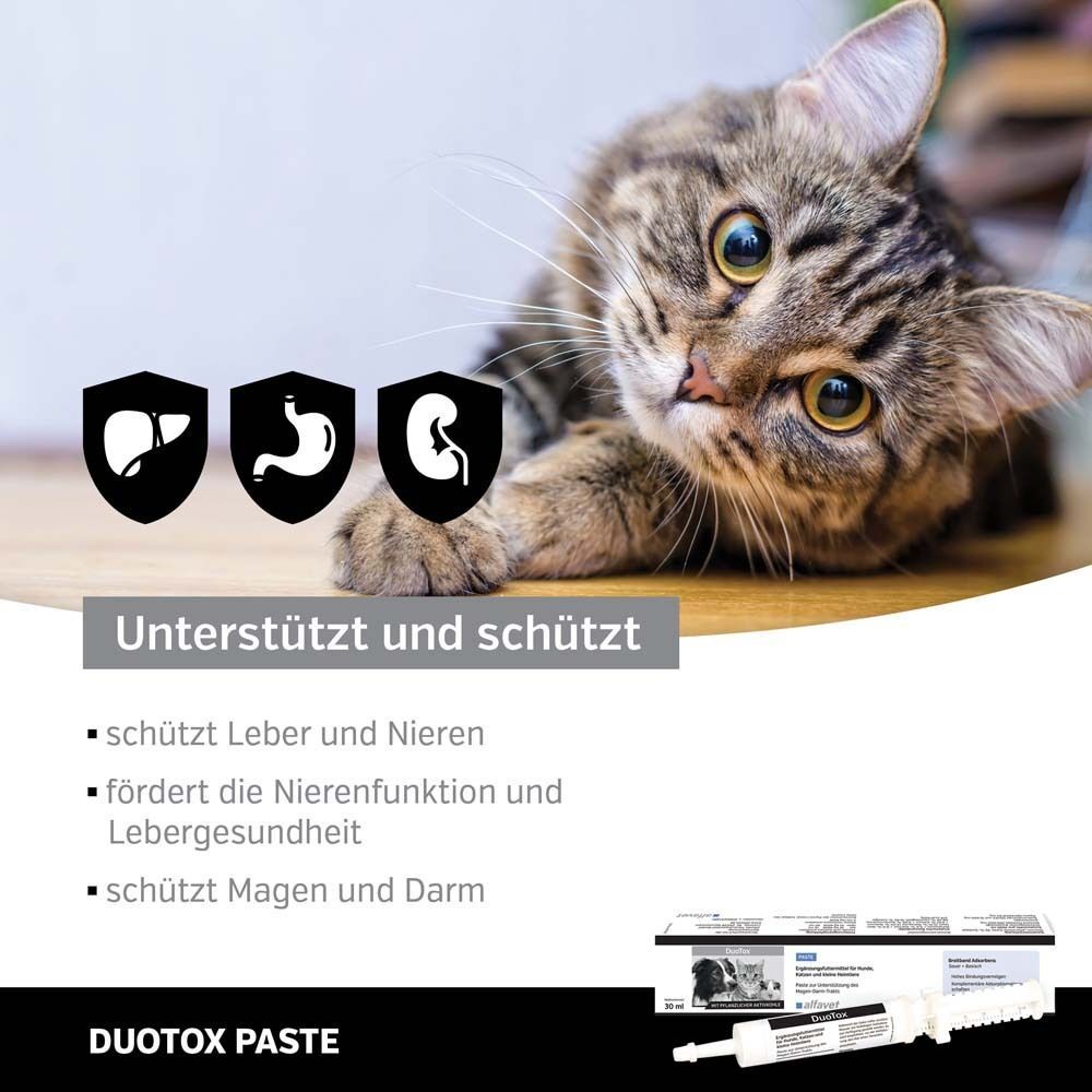 Katze. Text: DuoTox Paste. Produktverpackung mit Hund und Katze. Symbole für Leber, Magen, Niere. Text: Unterstützt und schützt.