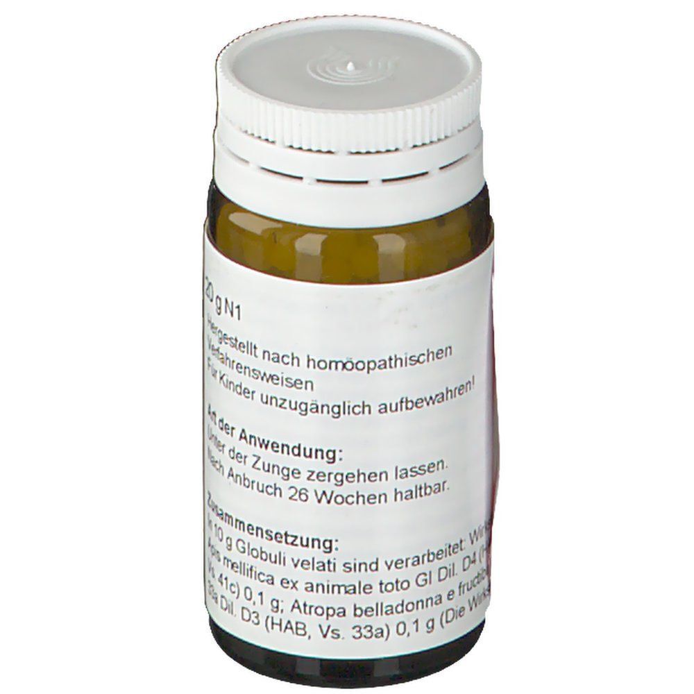 Braune Glasflasche mit weißen Globuli. Aufdruck: WALA Apis Belladonna Globuli velati, Text in Deutsch.