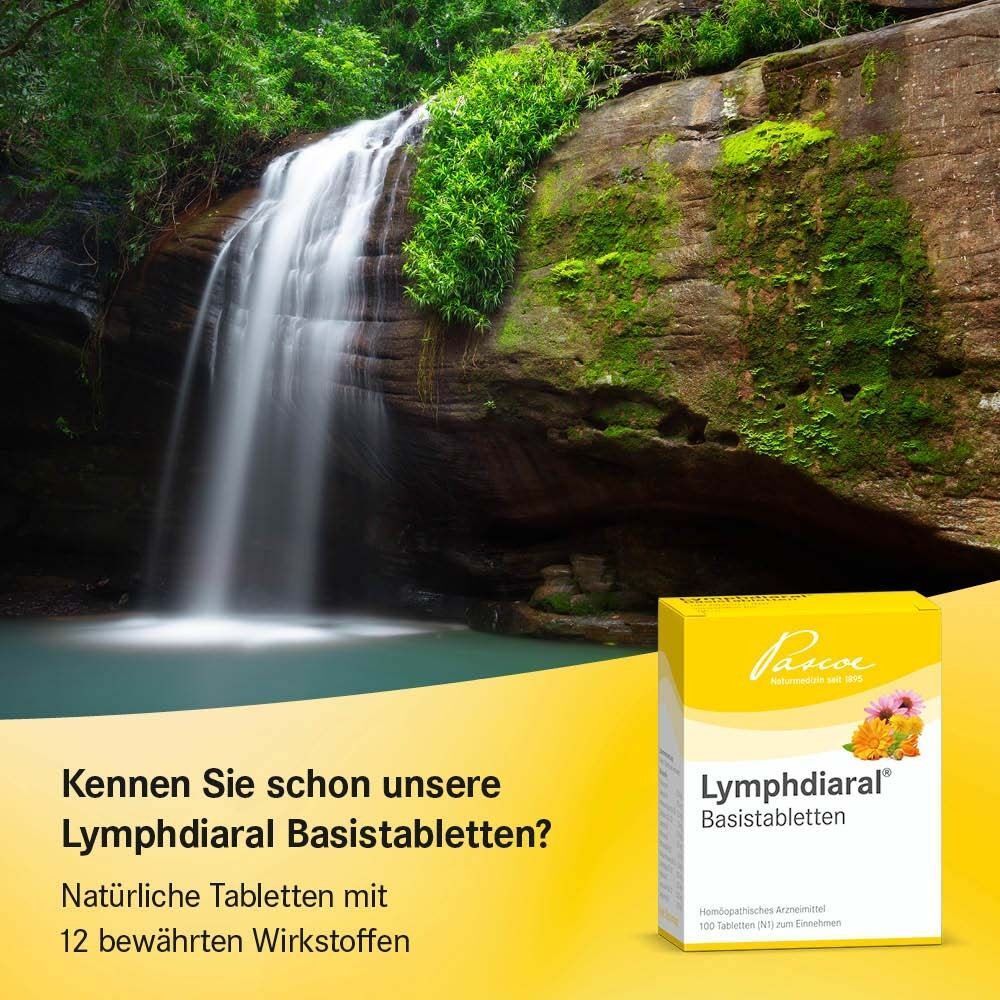 Gelbe Schachtel "Lymphdiaral Basistabletten" vor Wasserfall. Text: Natürliche Tabletten mit 12 bewährten Wirkstoffen.