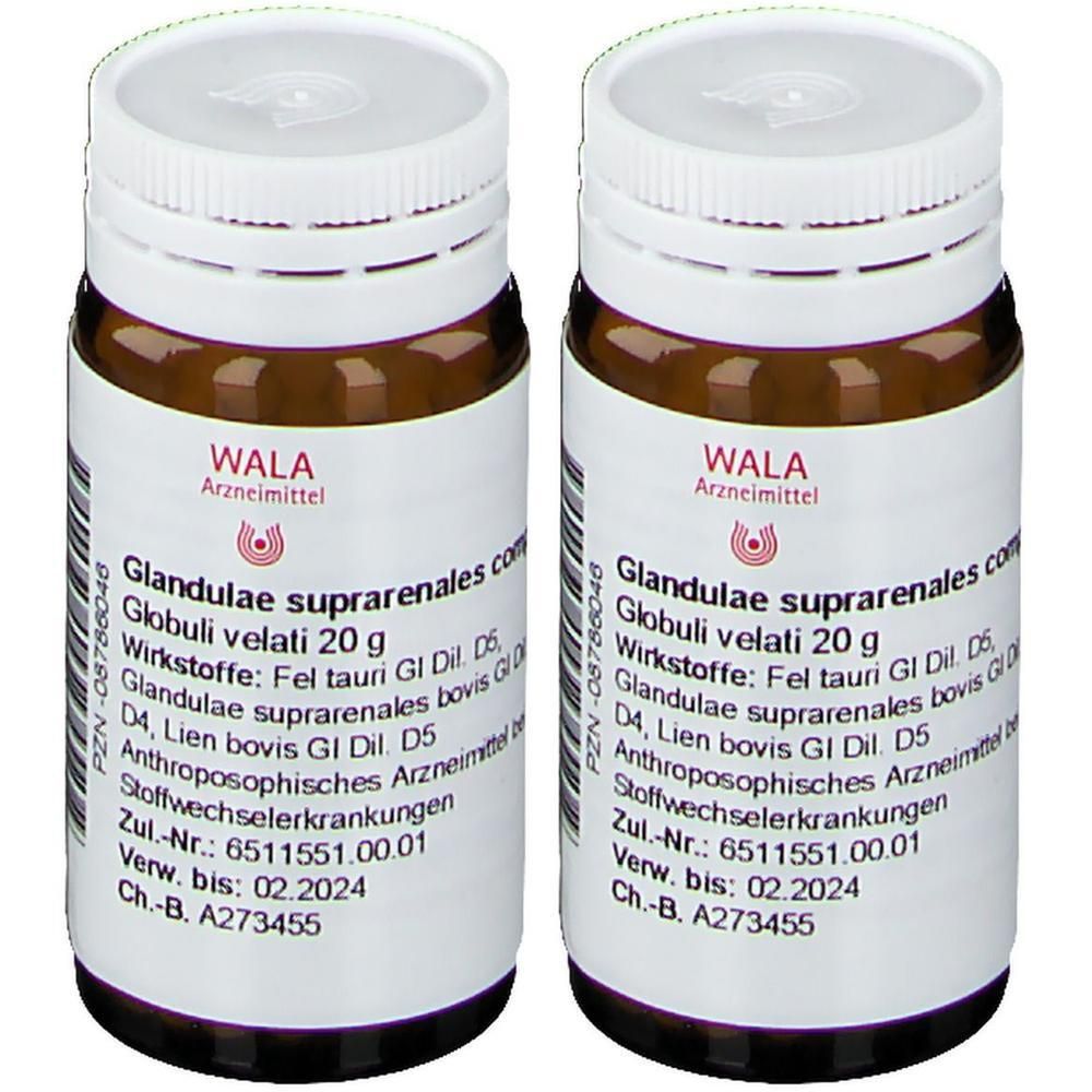 Glandulae Suprarenales comp.Globuli 2x 2x20 g Globuli