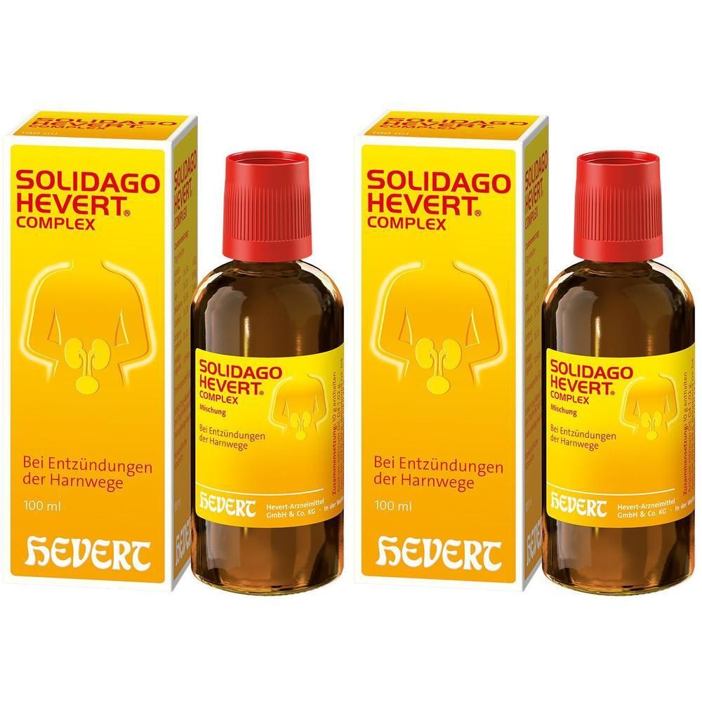 Solidago Hevert Complex Tropfen 2x 2x100 ml