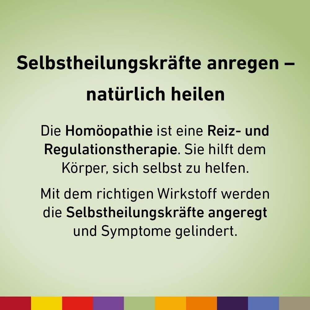 Text über Homöopathie und Selbstheilungskräfte. Hintergrund in Grüntönen mit farbigen Streifen unten.