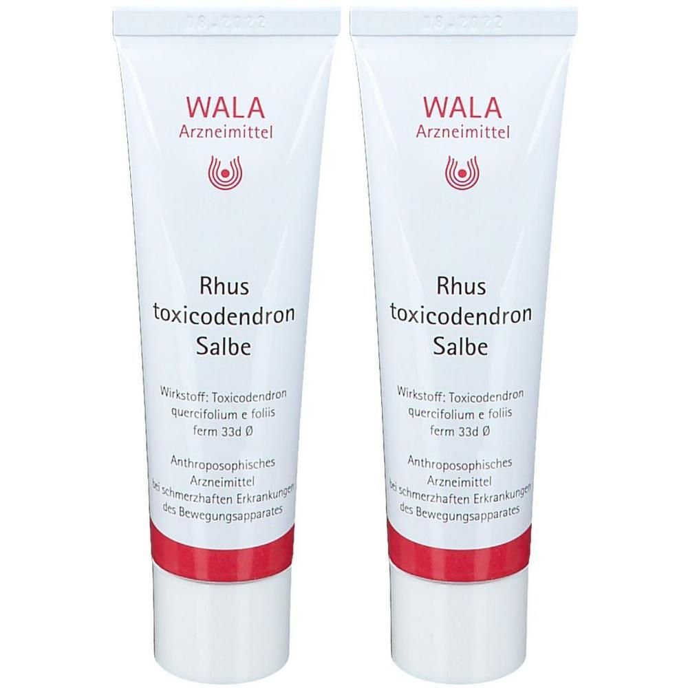 Rhus Toxicodendron Salbe 2x 2x30 g
