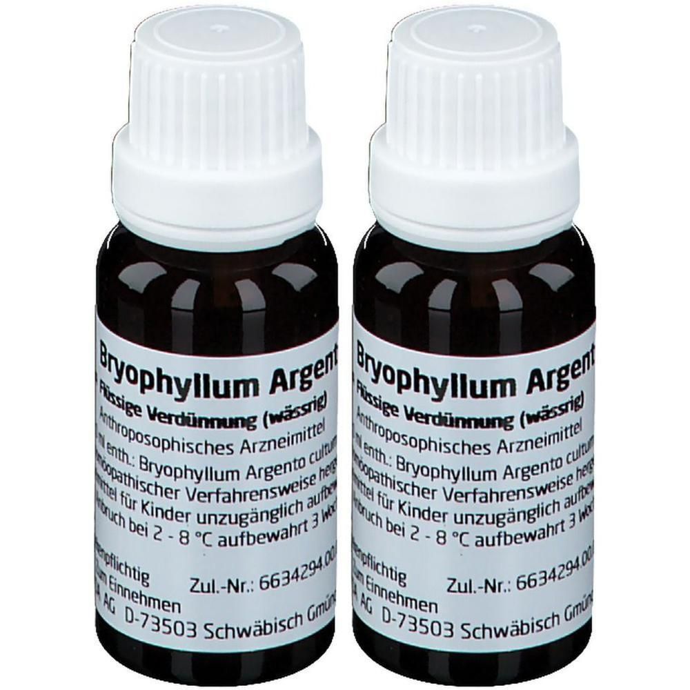 Bryophyllum Argento cultum Rh D 3 Dilution 2x 2x20 ml