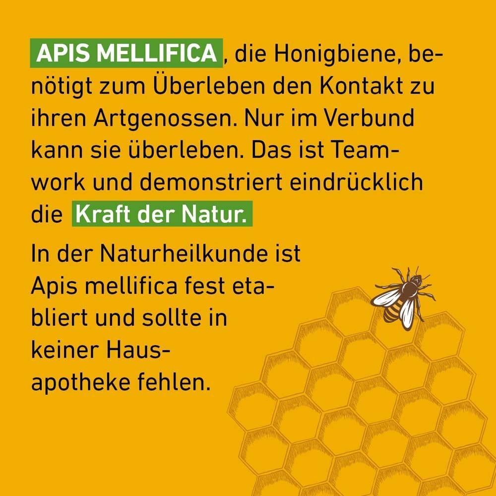 Text über Apis mellifica und die Kraft der Natur. Eine Biene auf einem Wabenmuster.