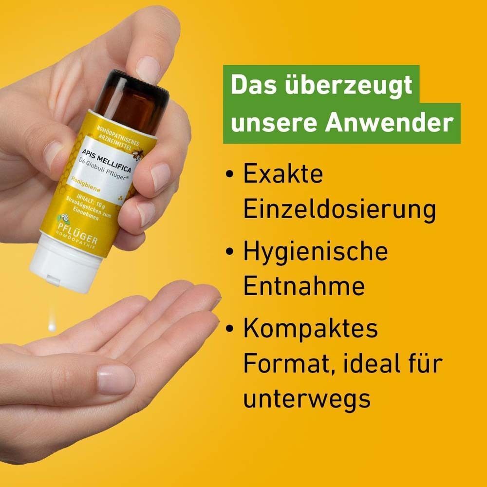 Hand hält Apis mellifica D6 Globuli Pflüger®. Text: Exakte Einzeldosierung, hygienische Entnahme, kompaktes Format.