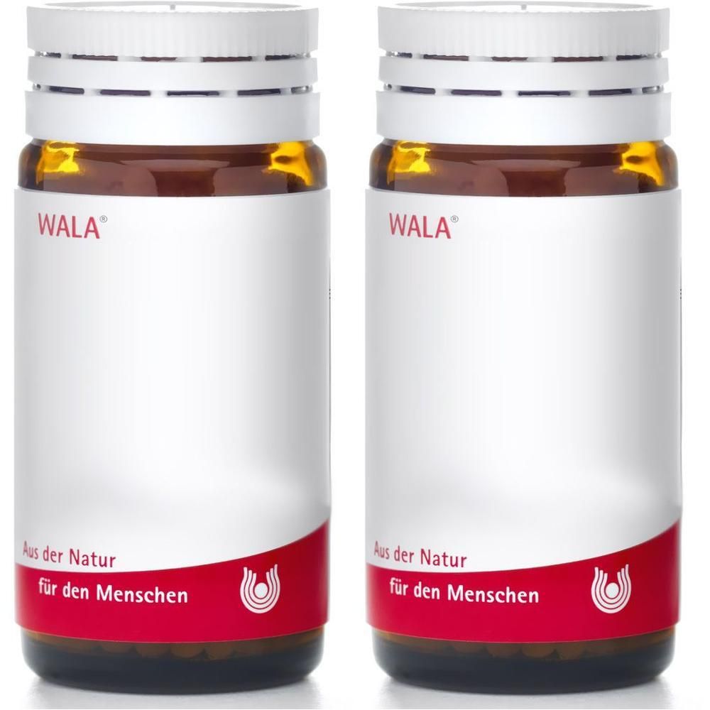 Berberis/Hypericum comp.Globuli 2x 2x20 g Globuli