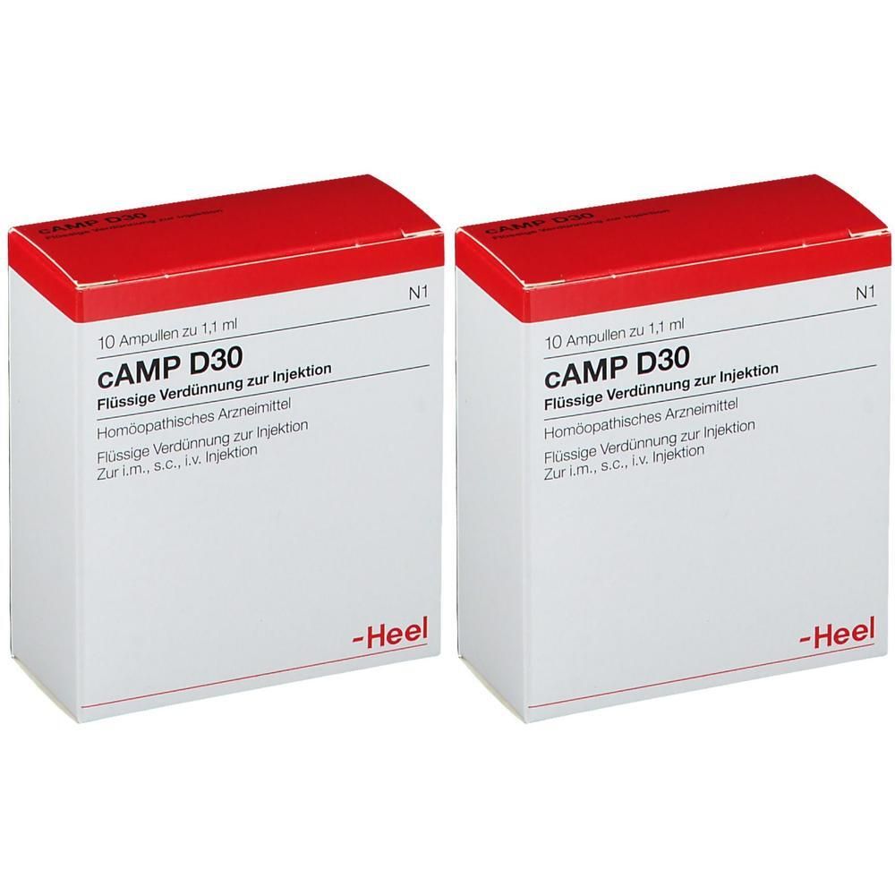 Camp D 30 Ampullen 2x 2x10 St