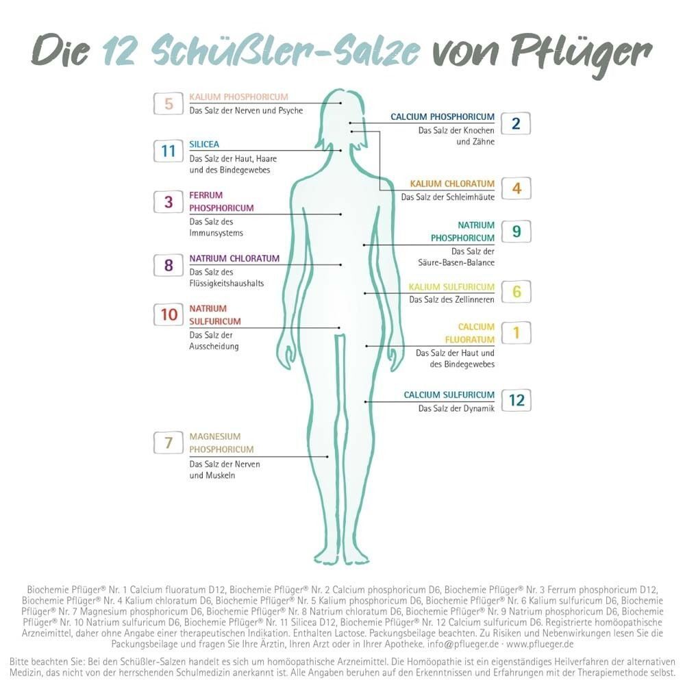 Abbildung einer Frau mit Markierungen für die 12 Schüßler-Salze. Beschriftung der Salze und deren Wirkungsbereiche.