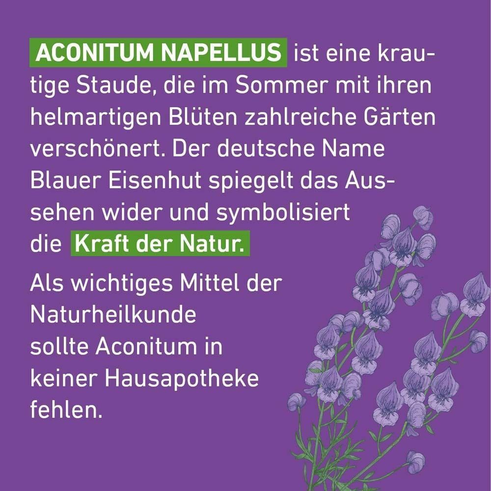 Informationstext über Aconitum Napellus (Blauer Eisenhut) und seine Anwendung in der Naturheilkunde.