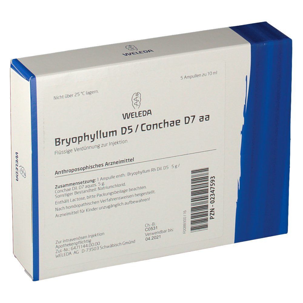 Bryophyllum D5 / Conchae D7 Angebot