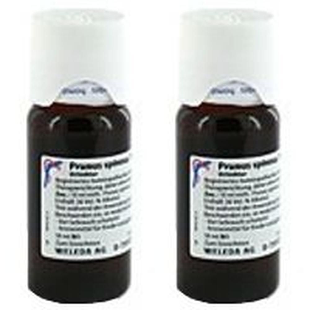 Prunus Spinosa Summitates Urtinktur 2x 2x50 ml Dilution