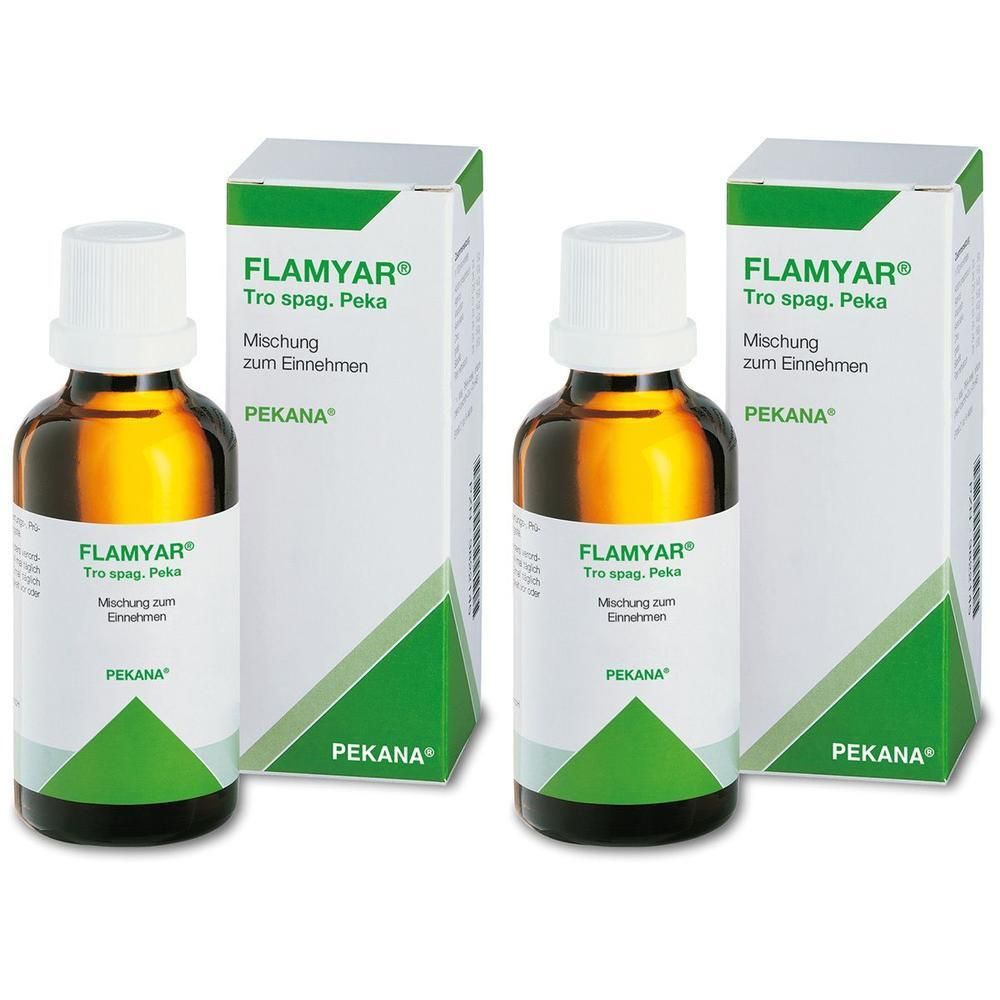 Flamyar Tro spag.Peka Mischung 2x 2x100 ml