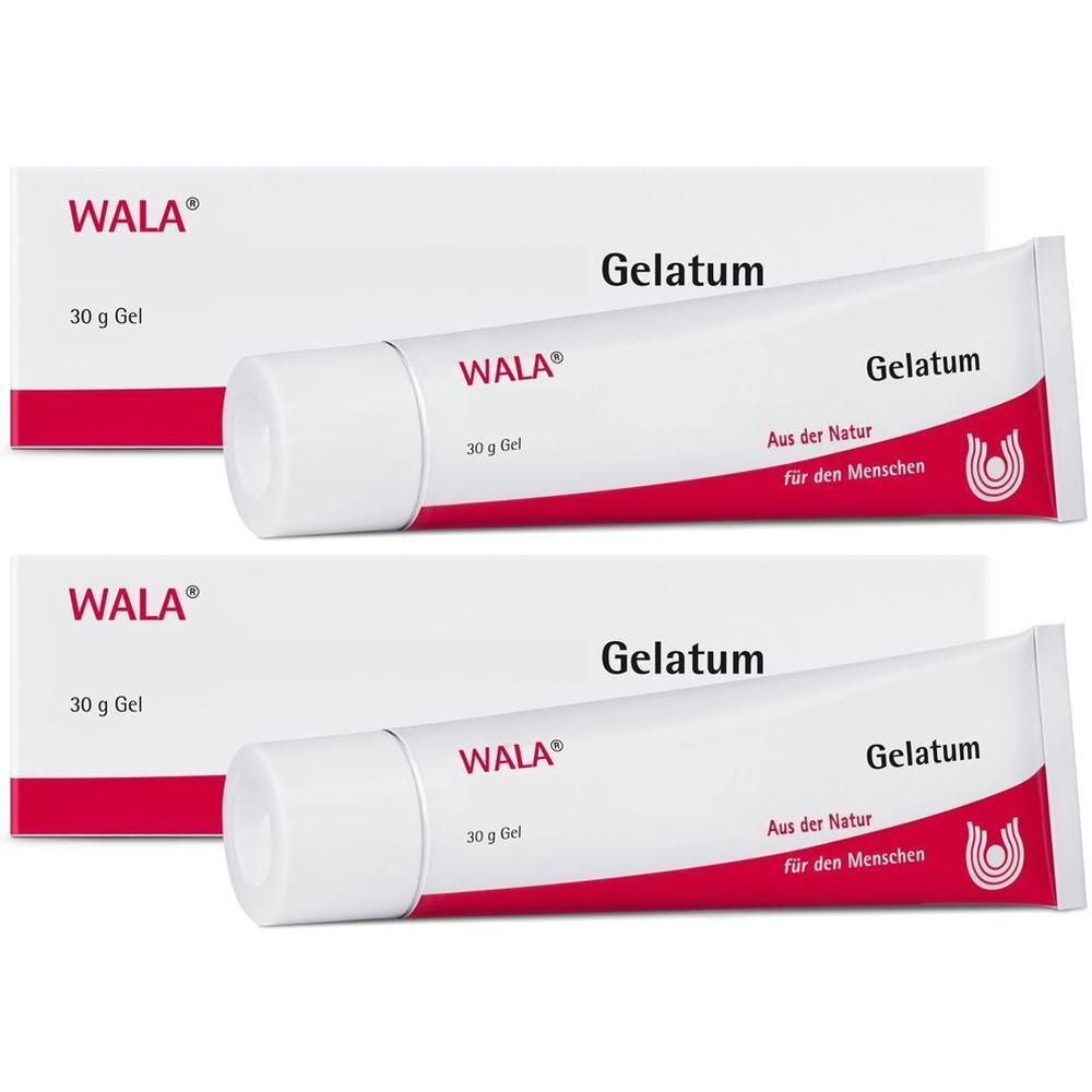 Echinacea/Viscum comp.Gelatum 2x 2x30 g Gel