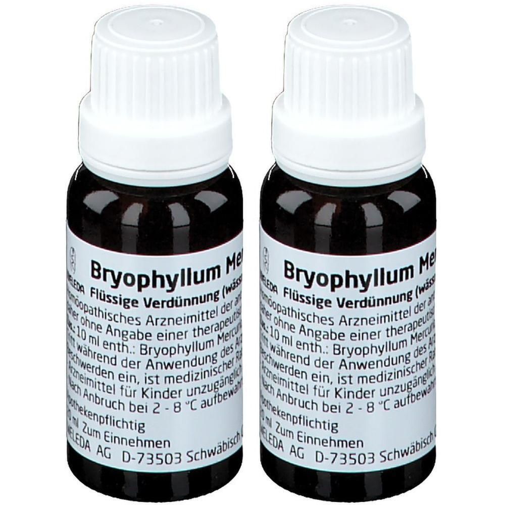 Bryophyllum Mercurio cultum Rh D 3 Dilution 2x 2x20 ml