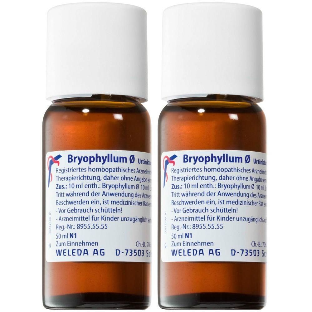 Bryophyllum Urtinktur 2x 2x50 ml Dilution