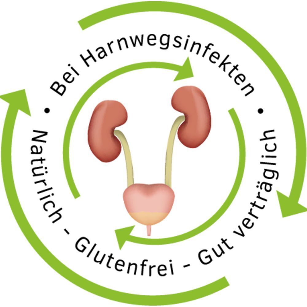 Symbol für Harnwegsinfekte: Nieren, Harnleiter, Blase. Glutenfrei, gut verträglich.