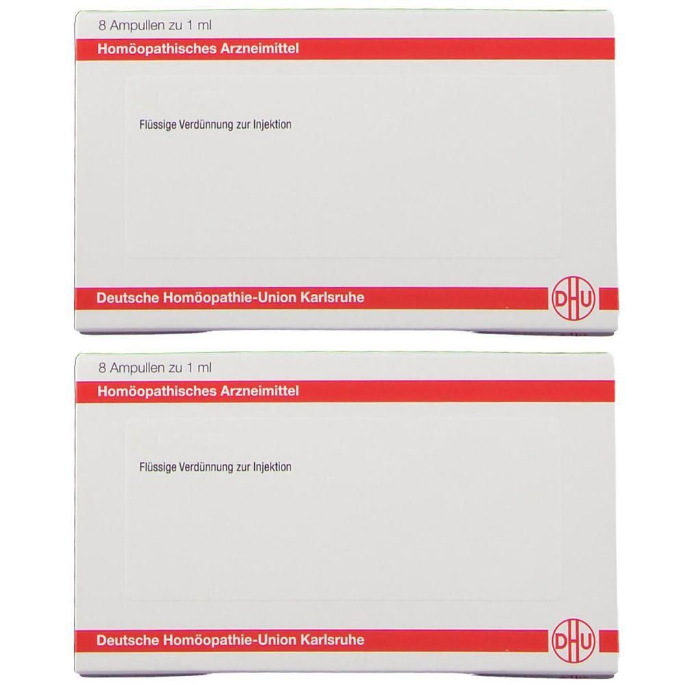 Formidium D 6 Ampullen 2x 2x8x1 ml