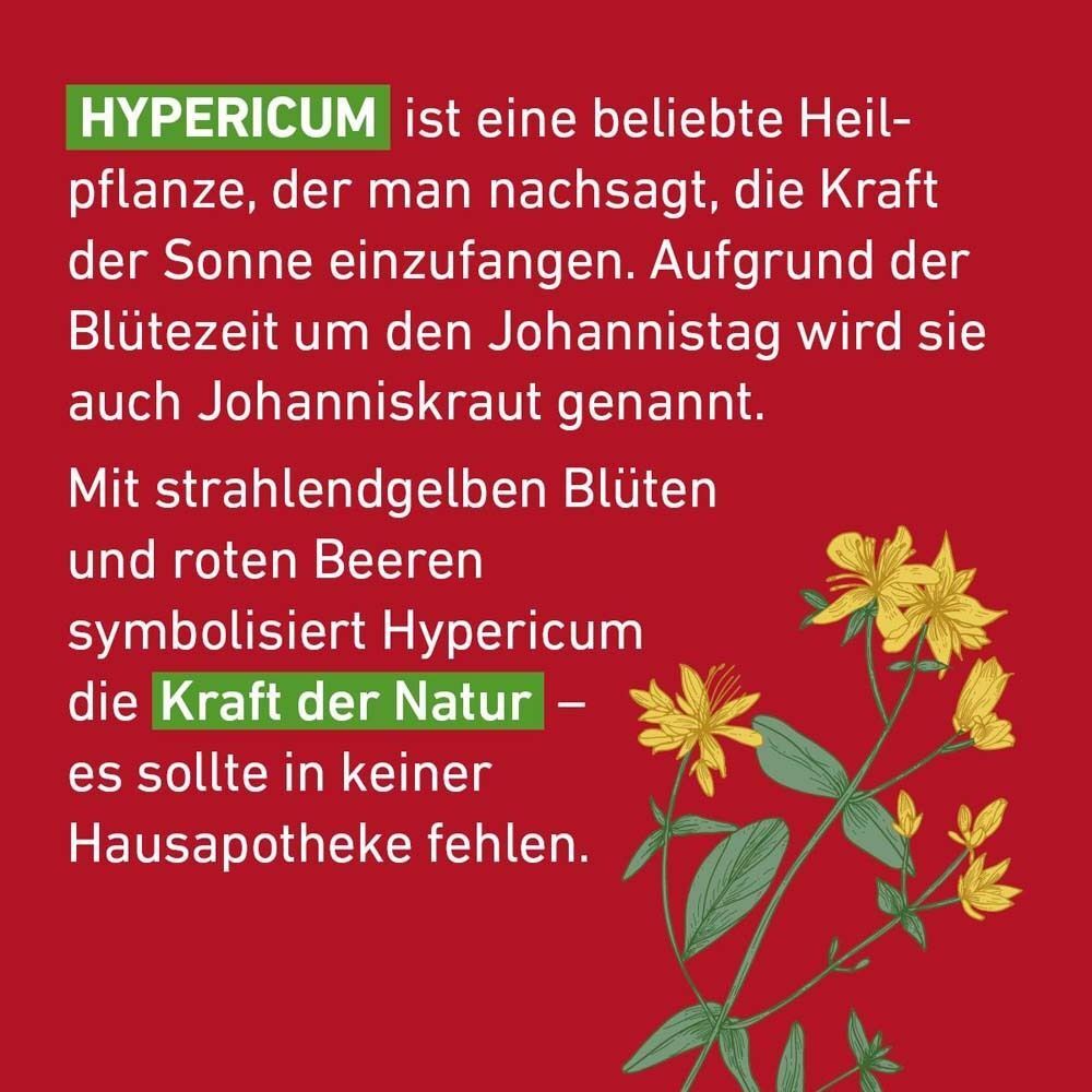 Illustration von Hypericum (Johanniskraut) mit gelben Blüten und roten Beeren.