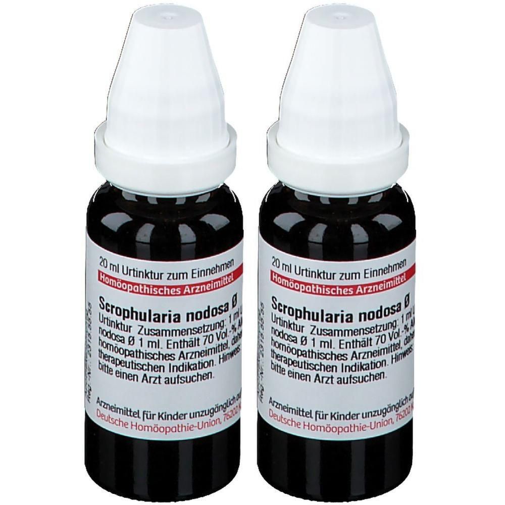 Scrophularia Nodosa Urtinktur 2x 2x20 ml Dilution