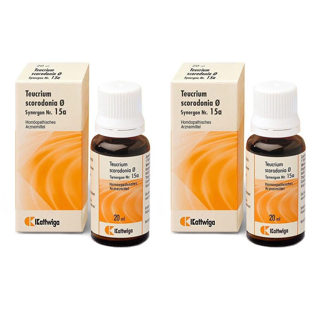 Synergon Komplex 15a Teucrium Tropfen 2x 2x50 ml
