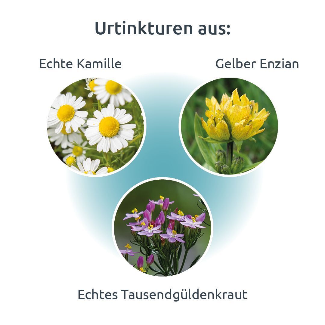 Drei Kreise mit Abbildungen von Kamille, Gelbem Enzian und Echtem Tausendgüldenkraut. Text: Urtinkturen aus: