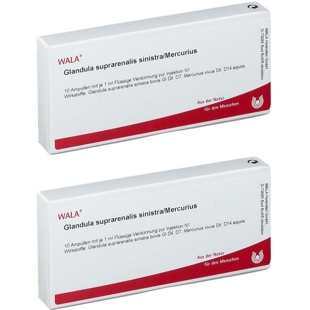 Glandula Suprarenalis sinistra/Mercurius Ampullen 2x 2x10x1 ml