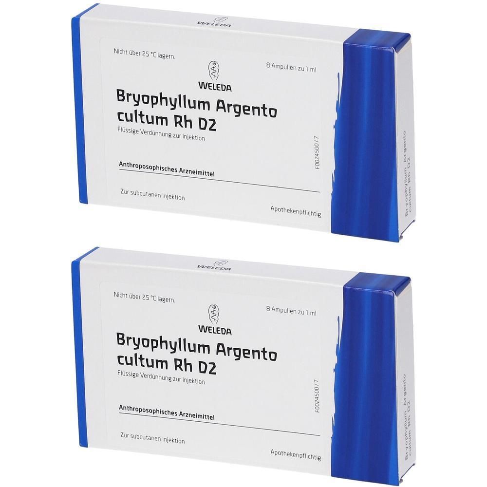Bryophyllum Argento cultum Rh D 2 Ampullen 2x 2x8x1 ml