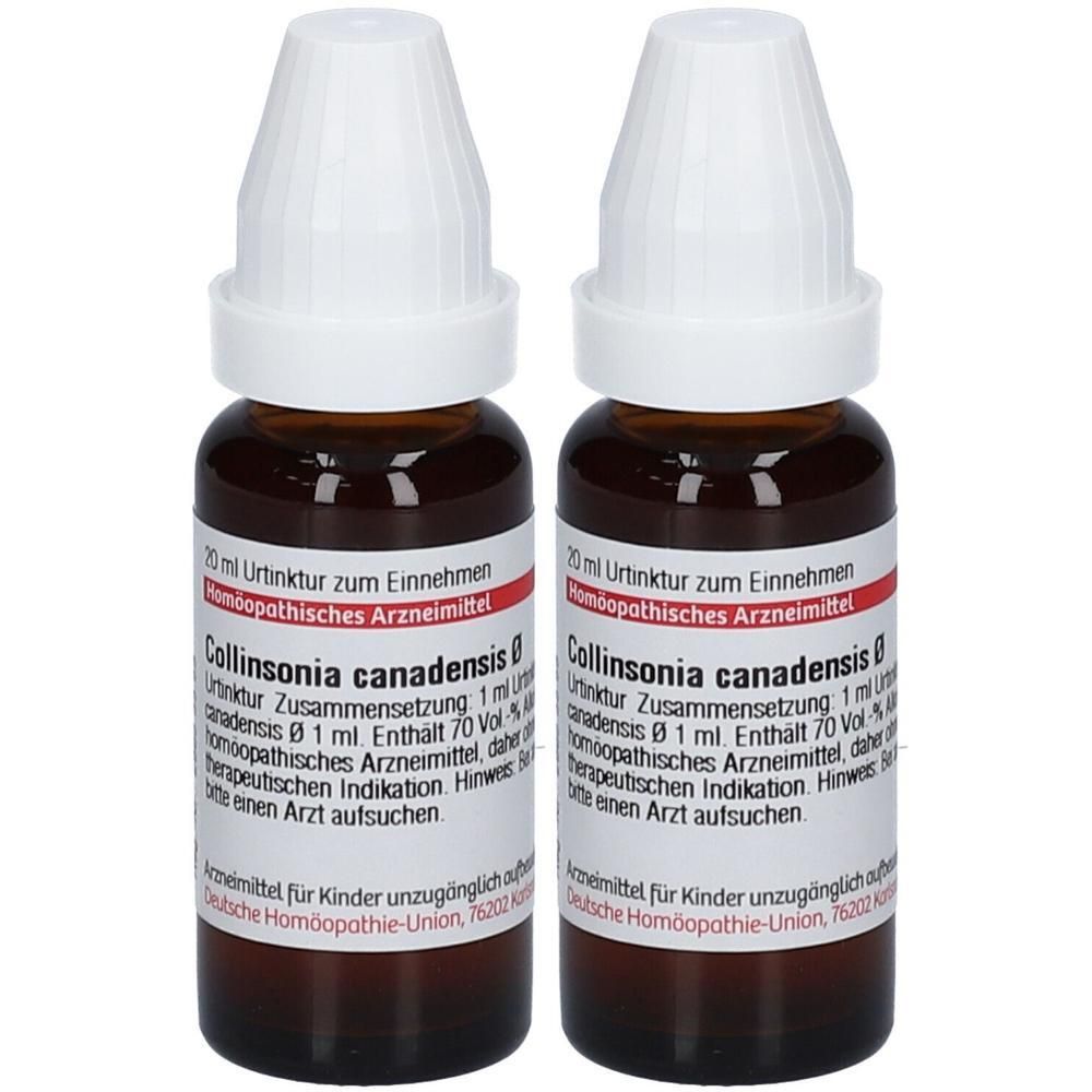 Collinsonia Canadensis Urtinktur 2x 2x20 ml Dilution