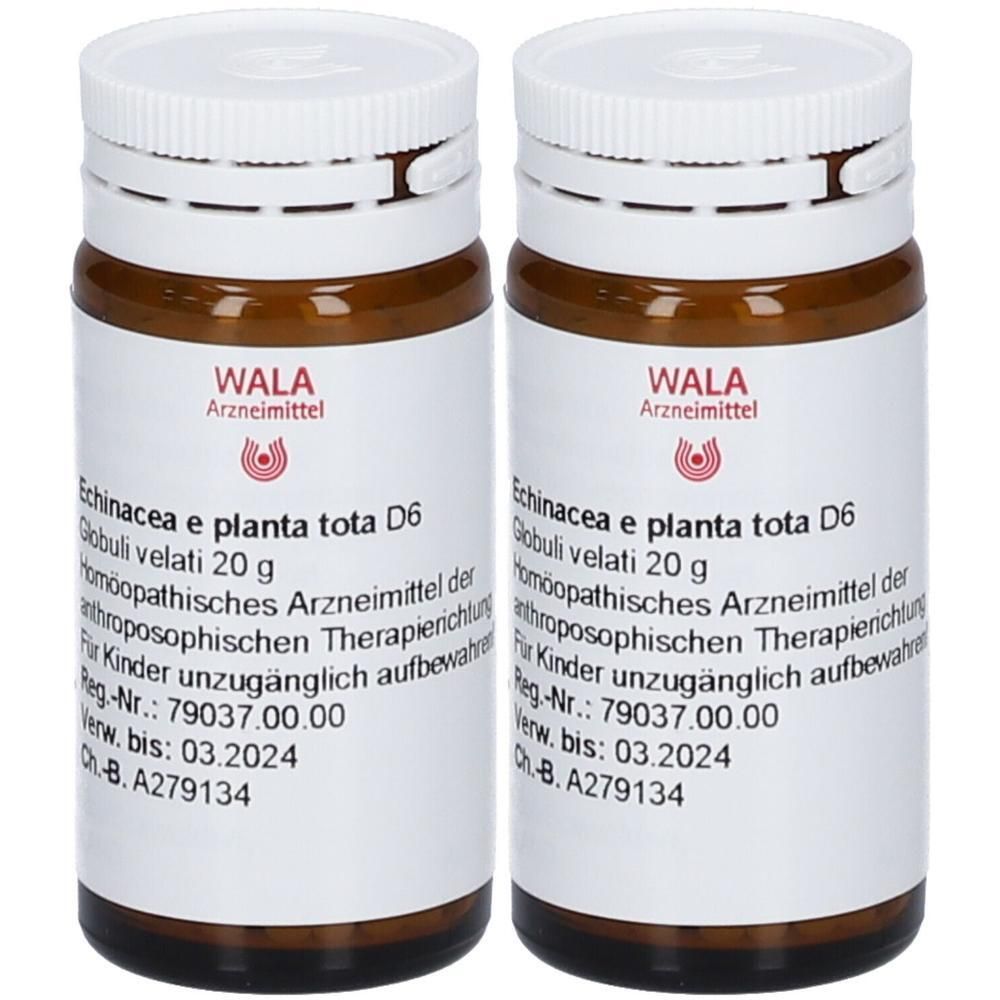 Echinacea E planta tota D 6 Globuli 2x 2x20 g