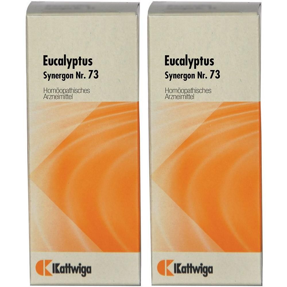 Synergon Komplex 73 Eucalyptus Tropfen 2x 2x50 ml