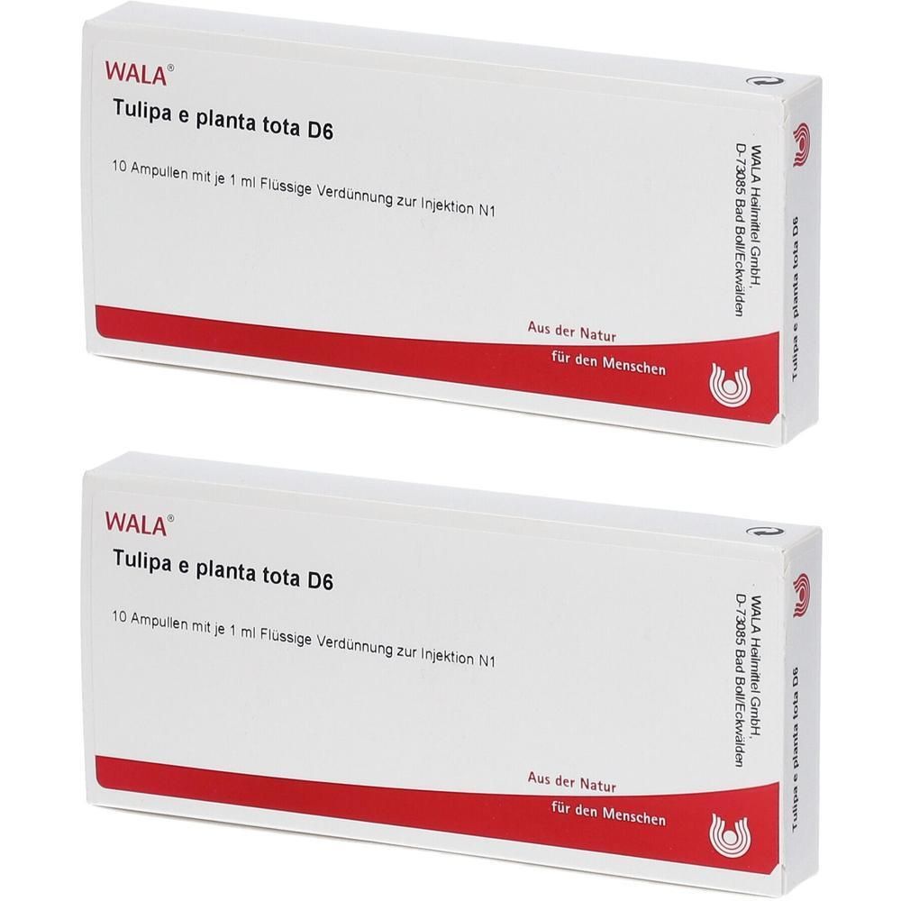 Tulipa e planta tota D 6 Ampullen 2x 2x10x1 ml