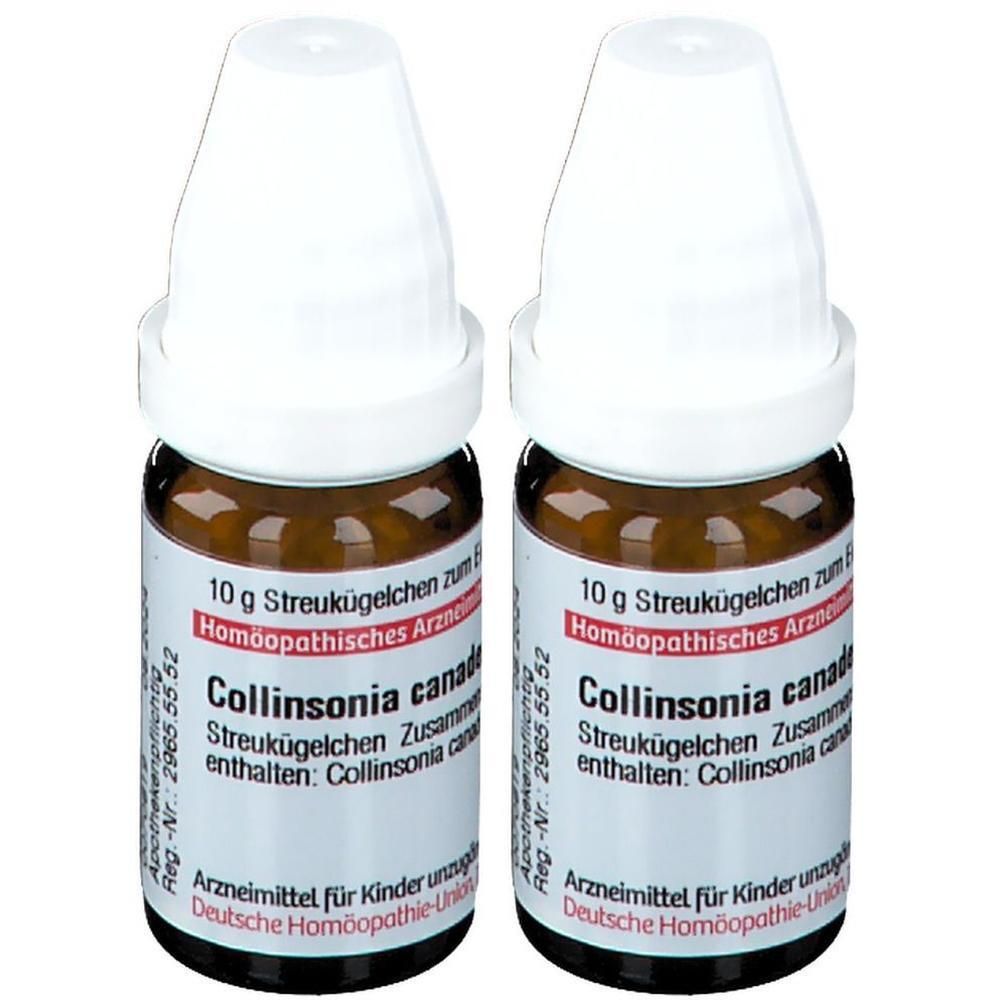 Collinsonia Canadensis D 12 Globuli 2x 2x10 g