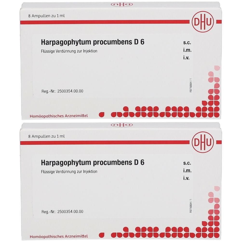 Harpagophytum Procumbens D 6 Ampullen 2x 2x8x1 ml